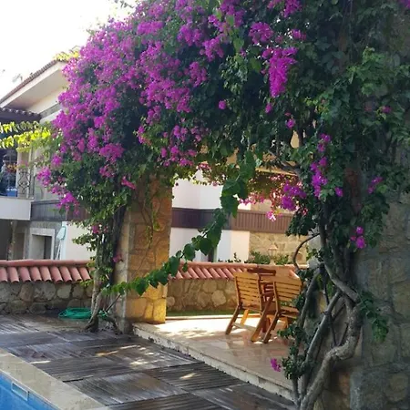Important Group | Berry Villa Turgutreis